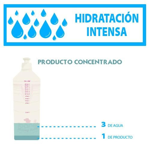 Champú Kw Nature con Aceite de Argán