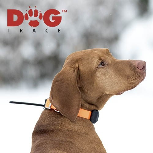 DogTrace Mando GPS X20+