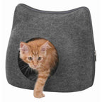 Cueva Suave Cat
