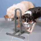 Soporte Comedero perros