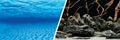 Fondo decorativo acuario 3D Marina