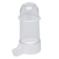 Blister Bebedero Tubo 250 Picopato (1 ud)