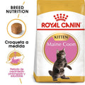 Royal Canin Kitten Maine Coon