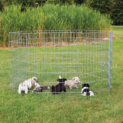 Recinto Cachorros natura