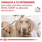 Royal Canin Veterinary Canine Diabetic Special Low Carb Mousse Pack 12uds