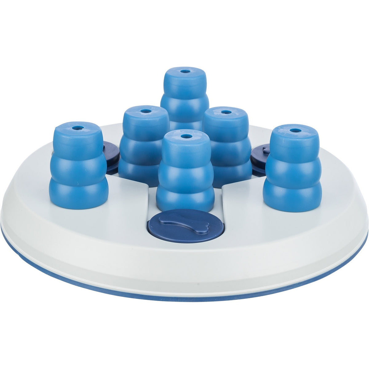 Dog Activity Slide & FunBoard