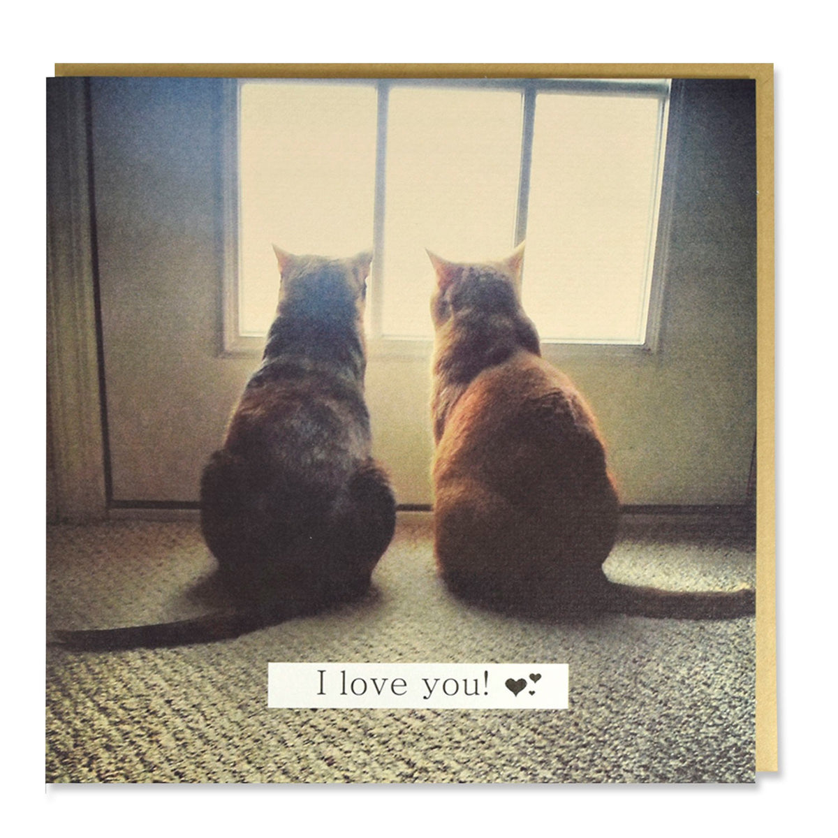 Tarjeta 2 Gatos 'I Love You'