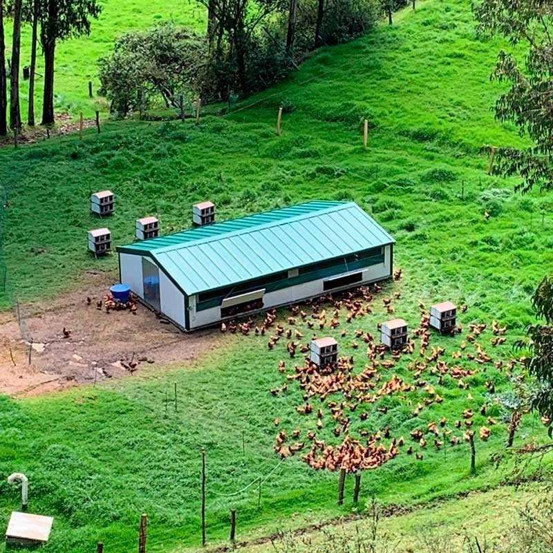 Corral Móvil 6x15x1.8mt Continental 90 m2