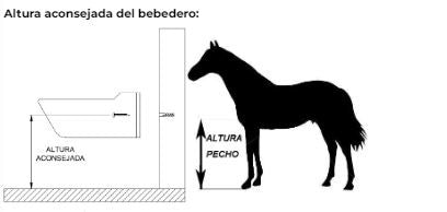 Bebedero automático para caballos pintado verde Copele