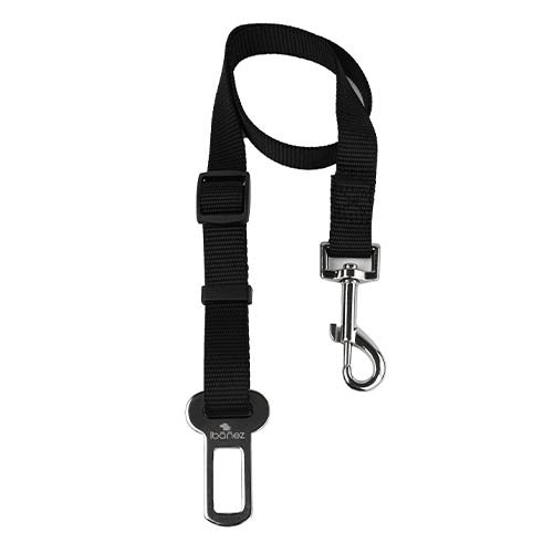 Cinturón de Seguridad Básico