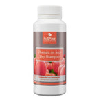 Champú En seco Ibáñez Dry shampoo (polvo)
