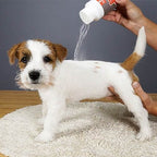 Champú En seco Ibáñez Dry shampoo (polvo)