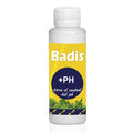 Badis Mas PH