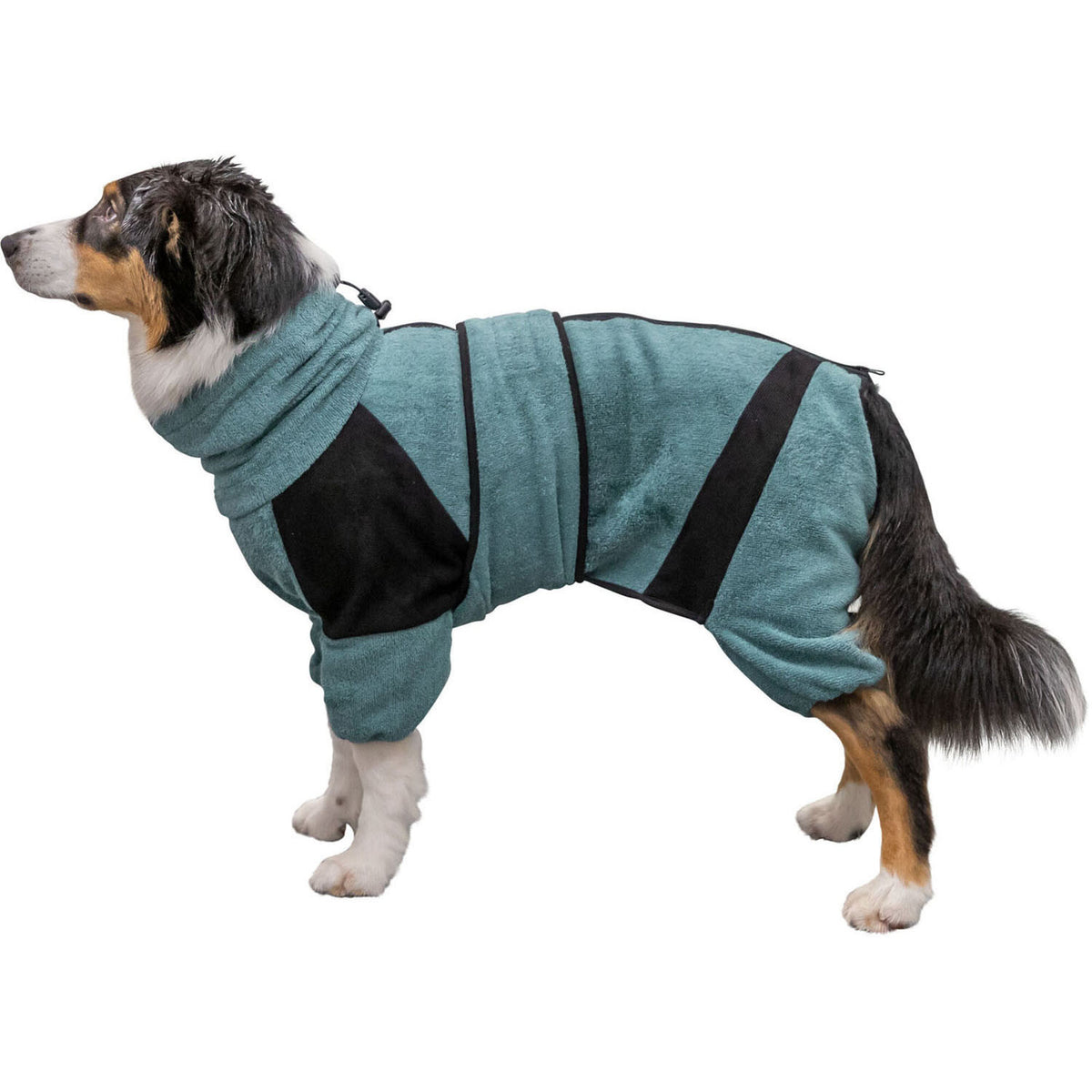 Albornoz y Mono de Hogar para perros
