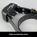 Collar Educativo para perros Dogtrace 400