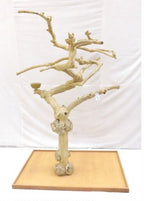 Java Tree BM