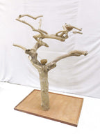 Java Tree BM