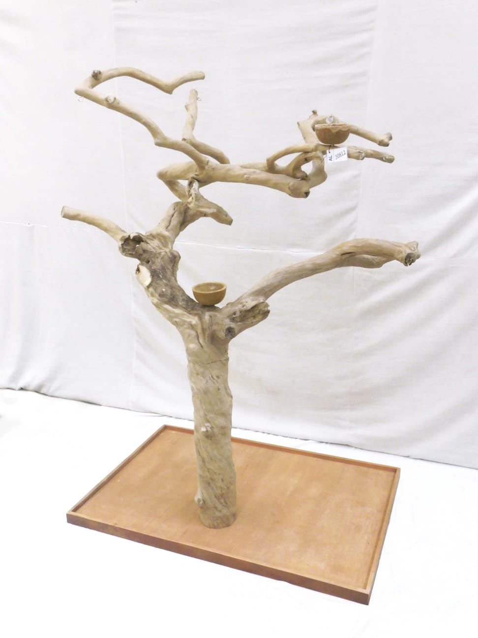 Java Tree BL New