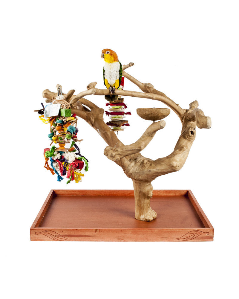 Java Mini Tree Small