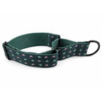 Collar martingale de nylon Ibáñez Glam