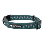 Collar de nylon Ibáñez Glam