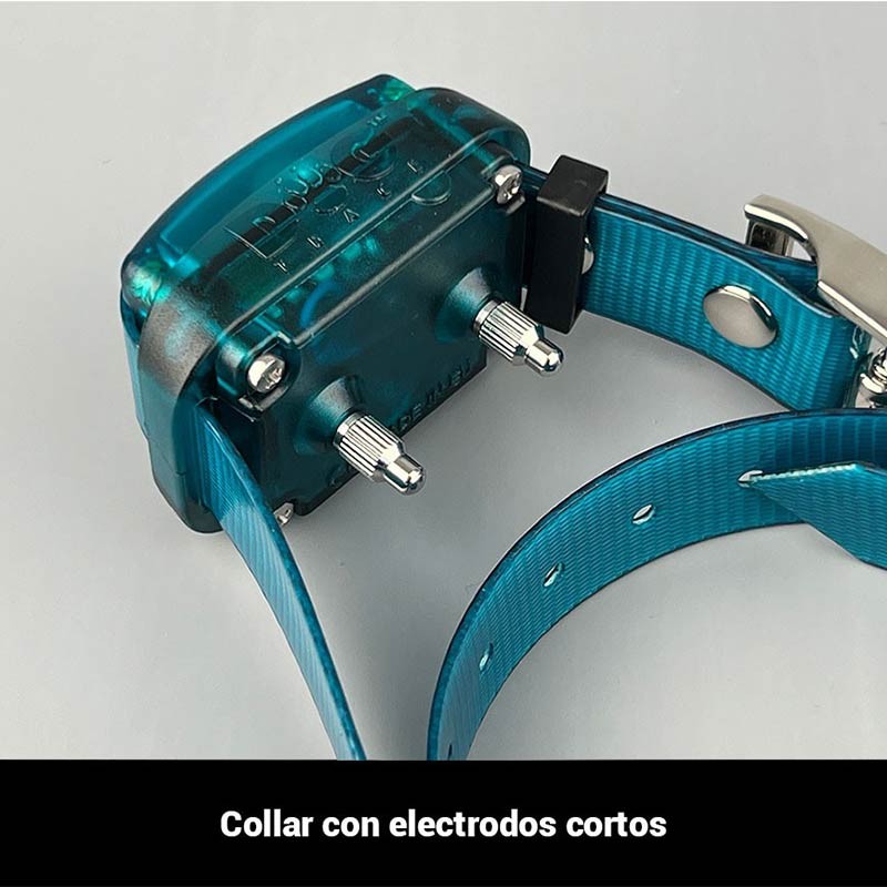 Radio collar educativo Dogtrace d-control Easy Mini+