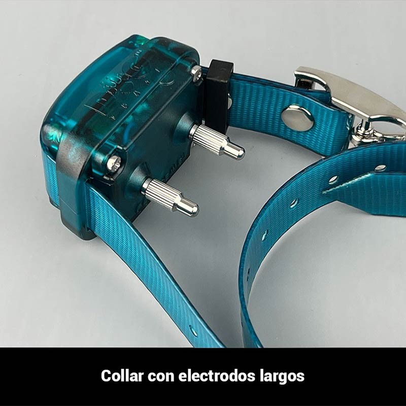 Radio collar educativo Dogtrace d-control Easy Mini+