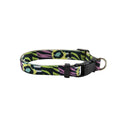 Yagu Paseo Collar Elástico Safari T-U 25-35 x 1 cm