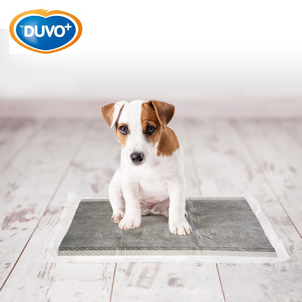 Duvo Empapadores de Orina Carbon 30 uds