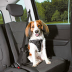 Arnés para Coche Dog Comfort