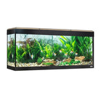 FLUVAL  ROMA 240 Acuario + Mesa Nogal