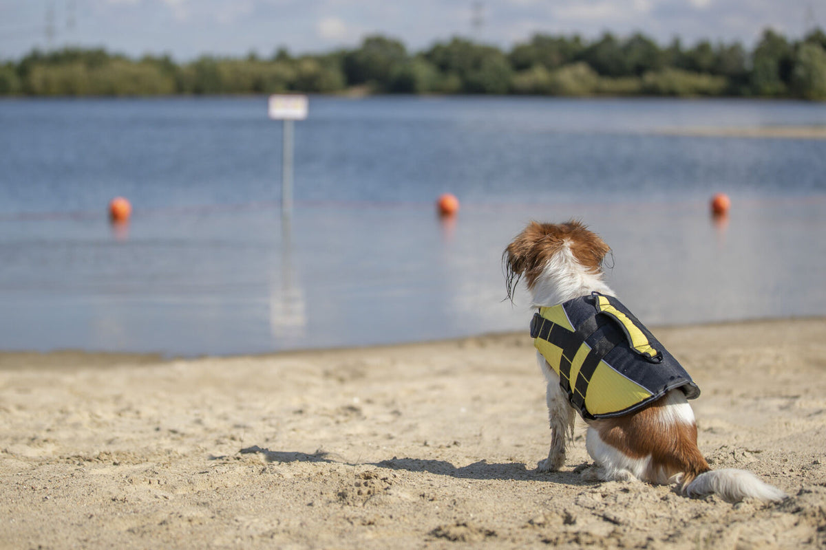Chaleco Salvavidas para Perros