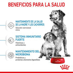 Royal Canin Medium Starter Pienso para Perros