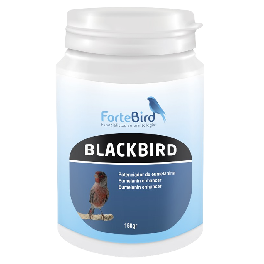 BlackBird | Potenciador de eumelaninas (Oxidación canarios negros)