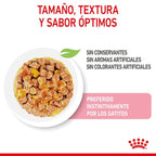 Royal Canin Kitten Instinctive Gelatina 12x85g