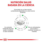 Royal Canin Veterinary Canine Diabetic Pienso Para Perros