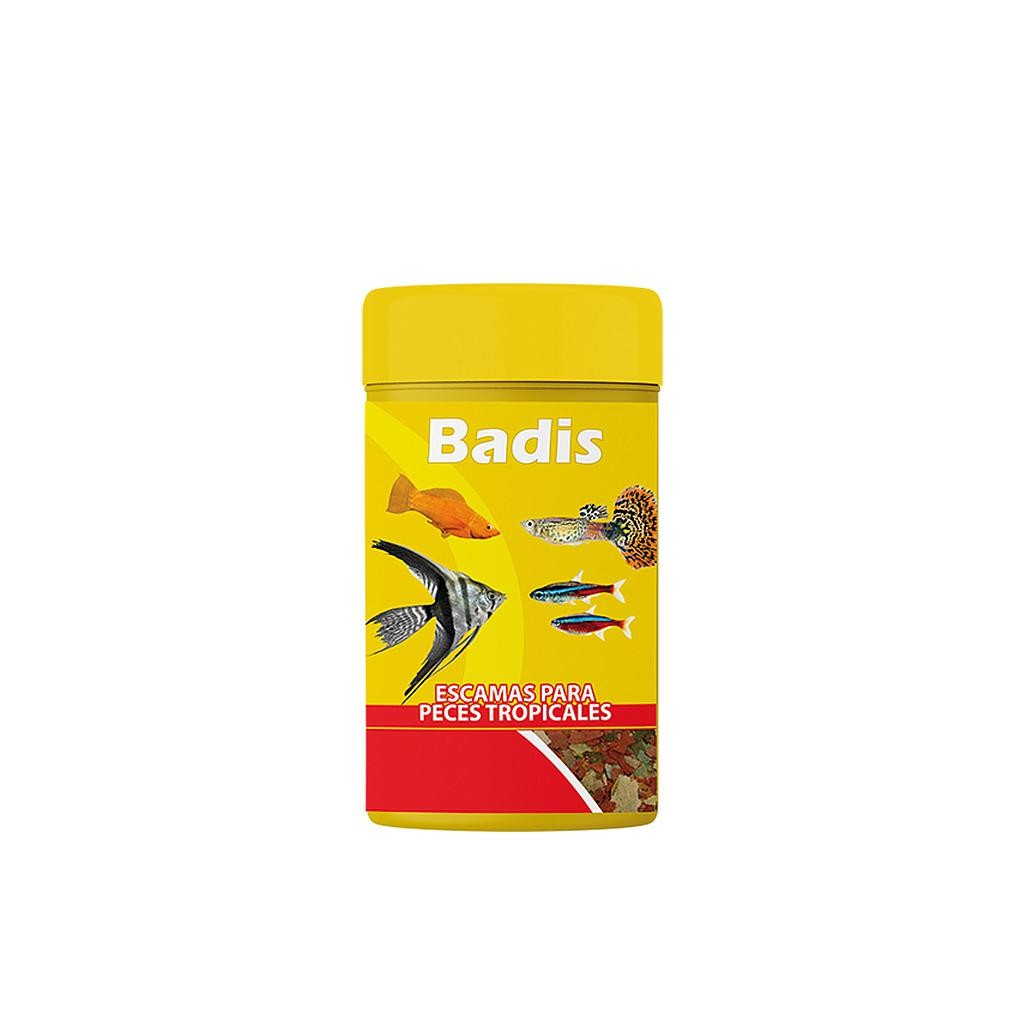 Badis Escama Tropical