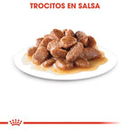 Royal Canin Digest Sensitive Gravy Salsa