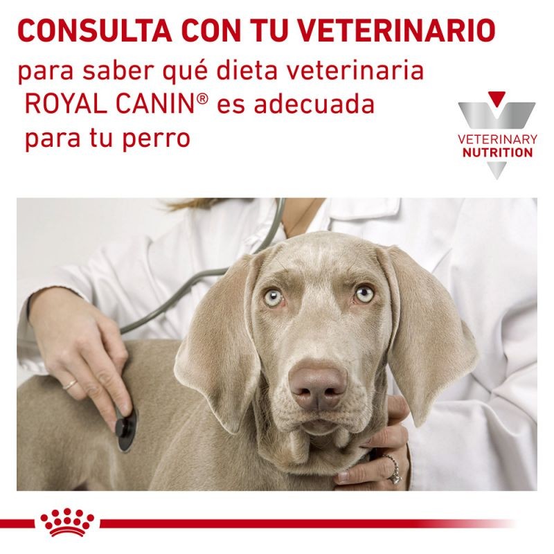 Royal Canin Diet Canine Sensitivity Control Pienso Para Perros