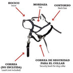 Dog guider Ibáñez Dogway
