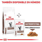 Royal Canin Diet Feline Hepatic pienso para gatos