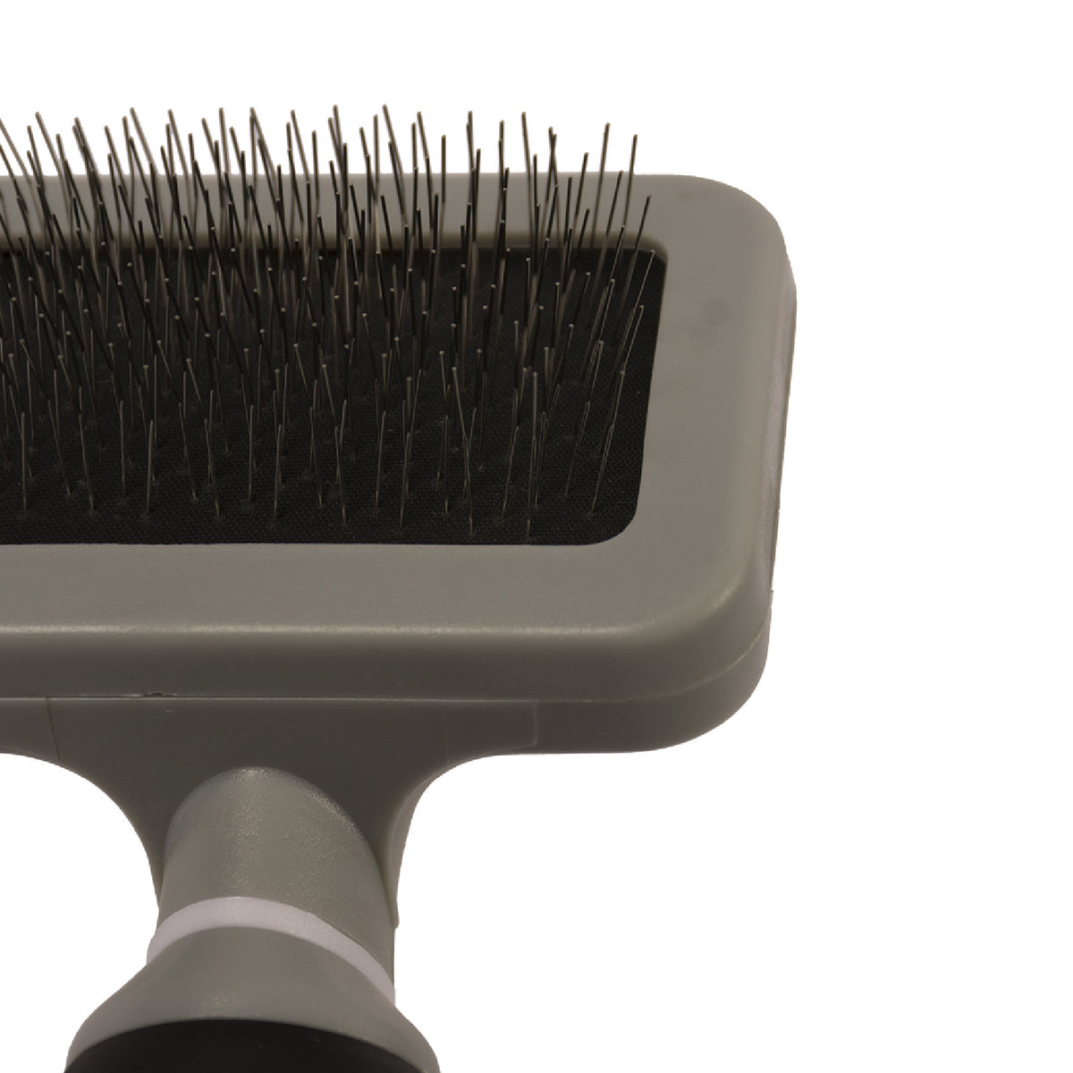 Duvo Beauty Carda Universal