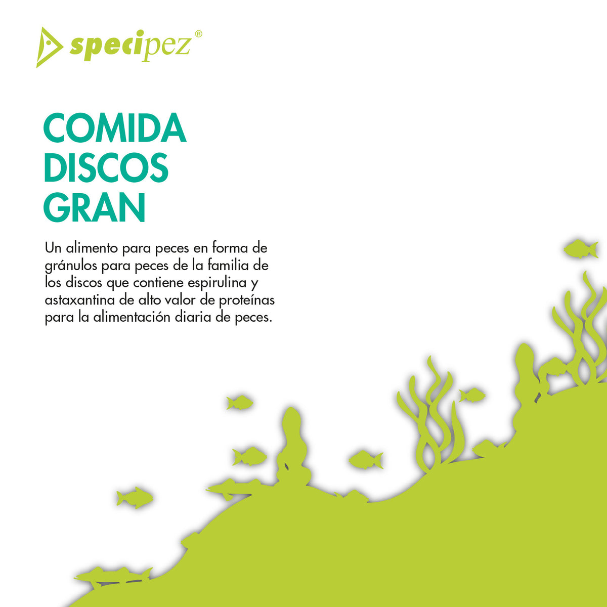 Comida discos Specipez